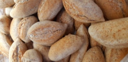 pão integral